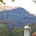 Ветреные приключения в слот-игре с фермерской тематикой