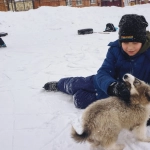 Слот The Dog House - беззаботное путешествие в мир азарта