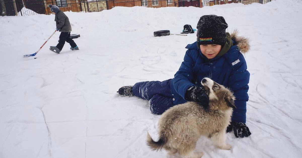 Слот The Dog House - беззаботное путешествие в мир азарта