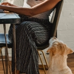 The Dog House Megaways слот с яркими символами и игровыми барабанами