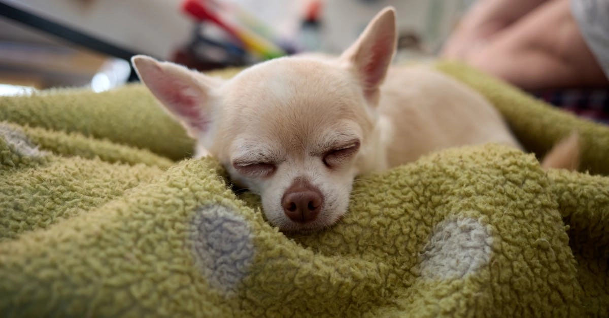 Программы лояльности онлайн казино без депозита и бонусные предложения